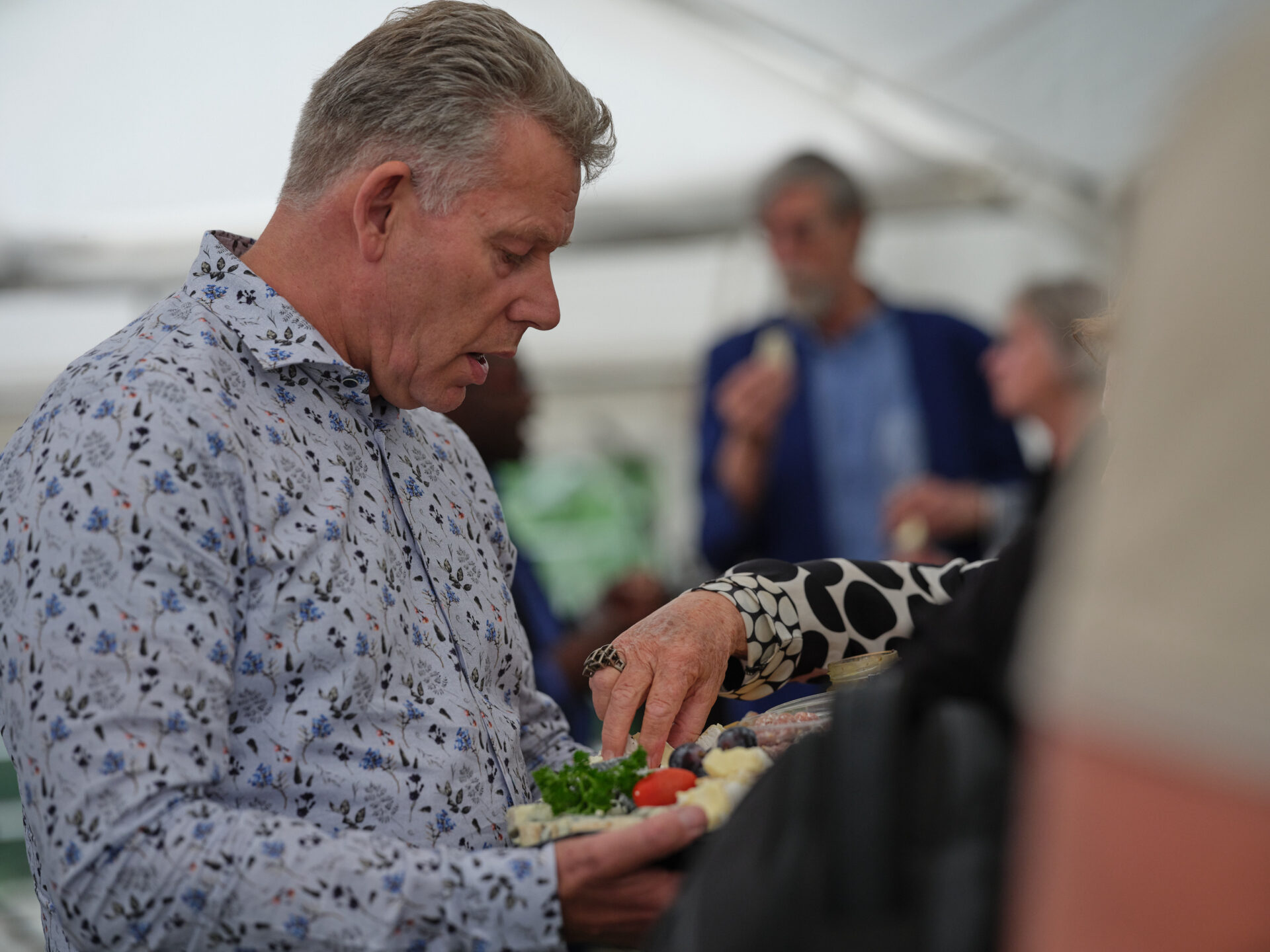 dsf005339 vba digital wizards