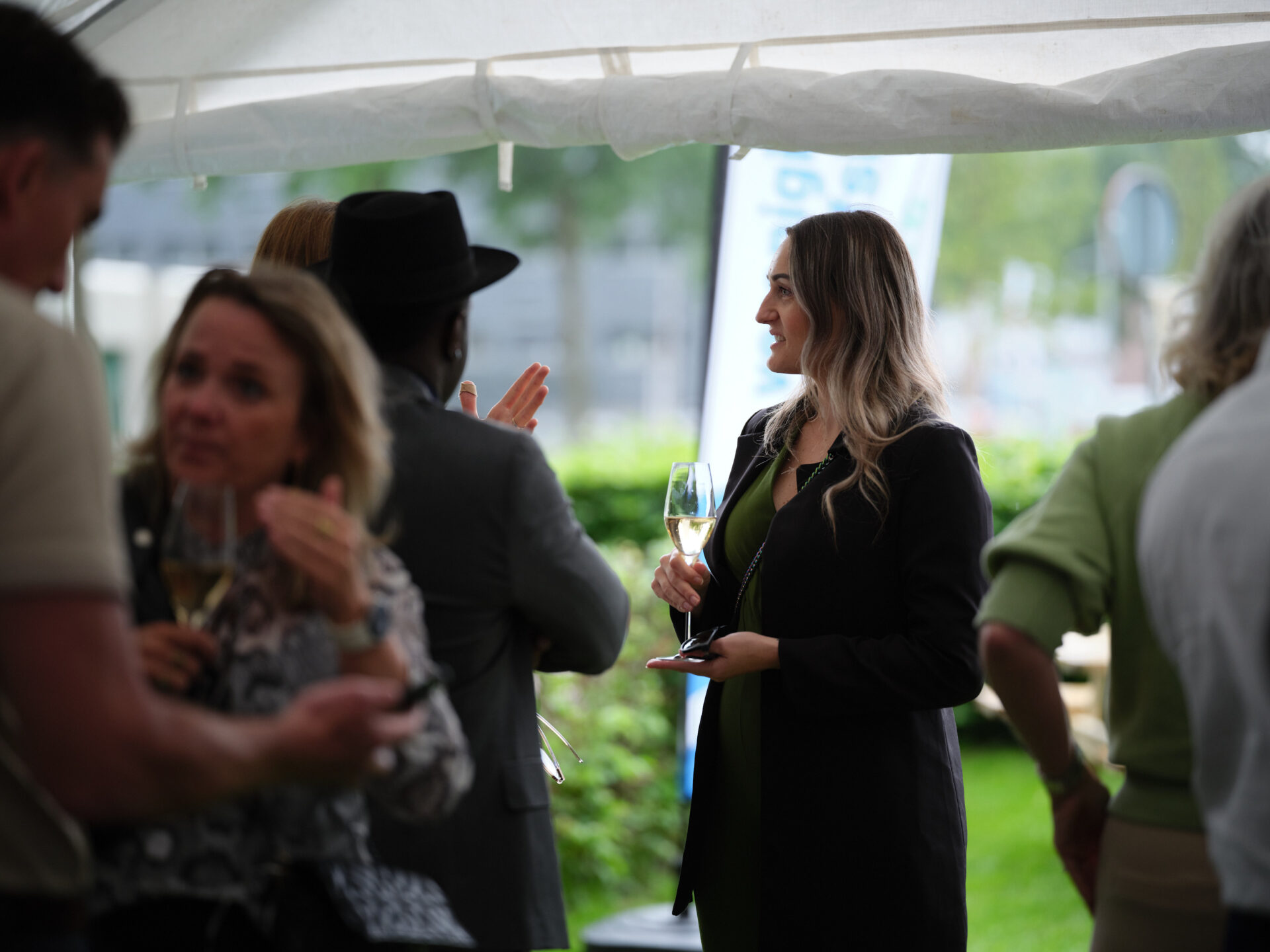 dsf006955 vba digital wizards