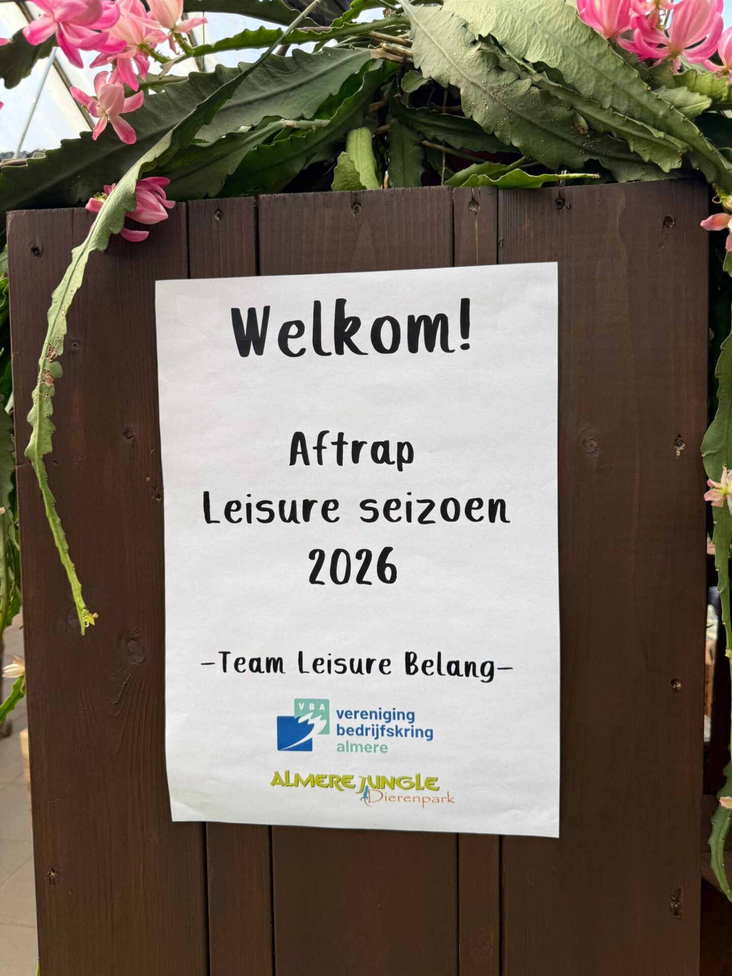 whatsapp image 2026 04 17 at 01.18.02 (6)